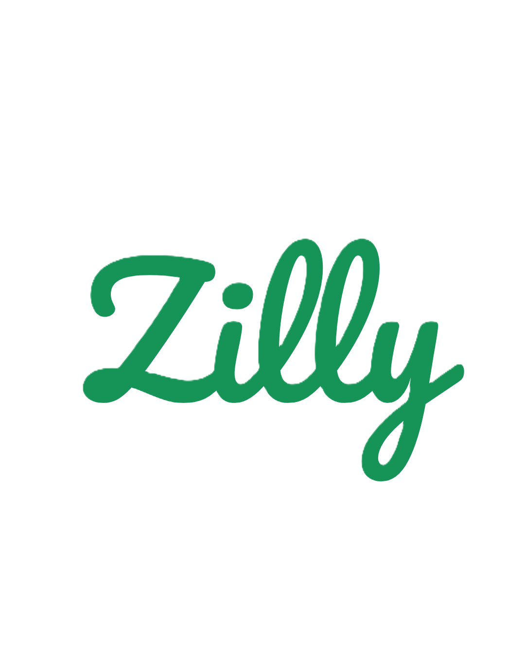 Zilly Team